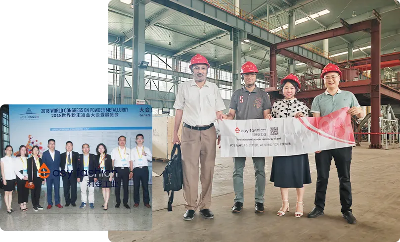 Perfil de la empresa